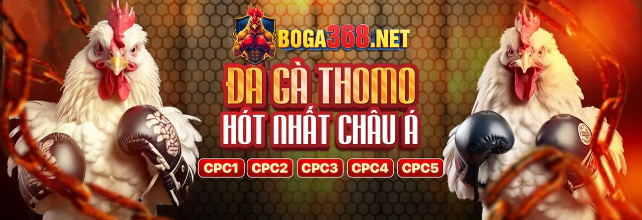 Hình ảnh giới thiệu thương hiệu 118bet và các chương trình khuyến mãi 2026